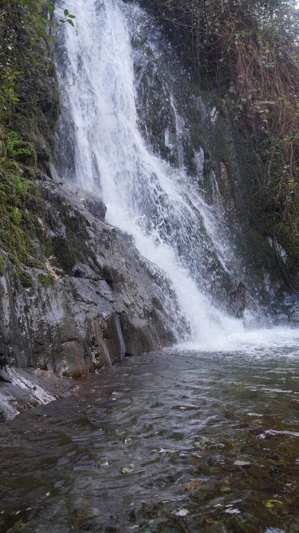Chas de Egua Casa Cima 빌라 외부 사진